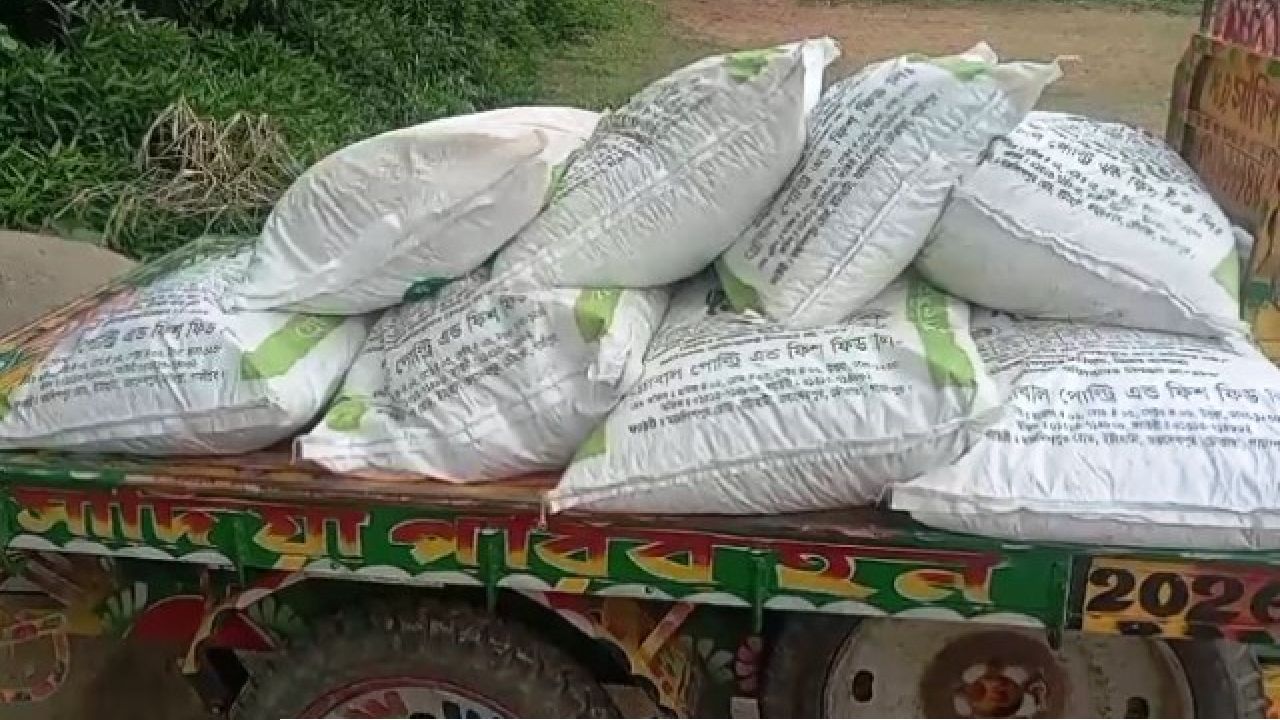তানোরে সরকারি অনুদানের গোখাদ্য চোরাপথে বিক্রির দায়ে শোকজ তদন্ত চলমান
