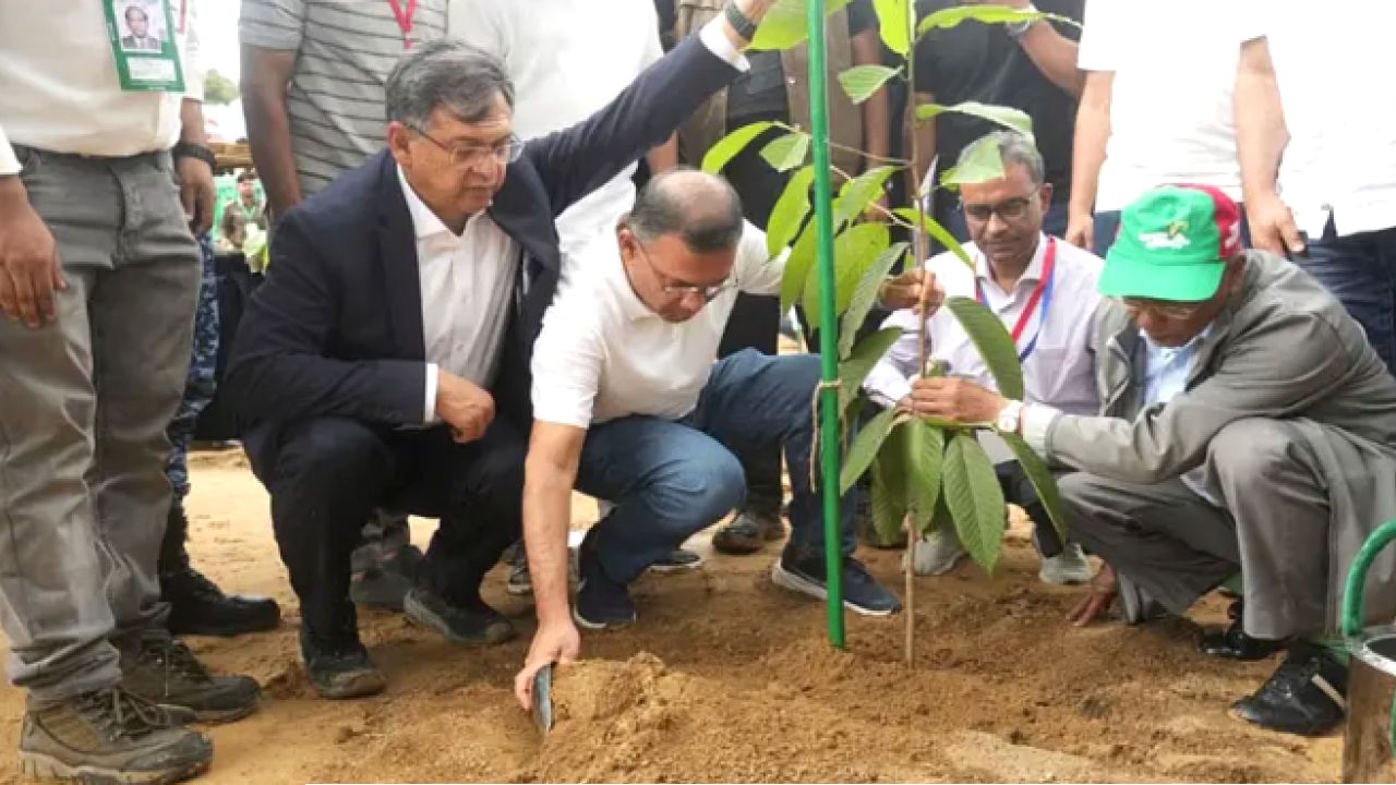 মাধ্যমিক বিদ্যালয়ে বৃক্ষরোপণ কর্মসূচির উদ্বোধন করলেন প্রধানমন্ত্রী