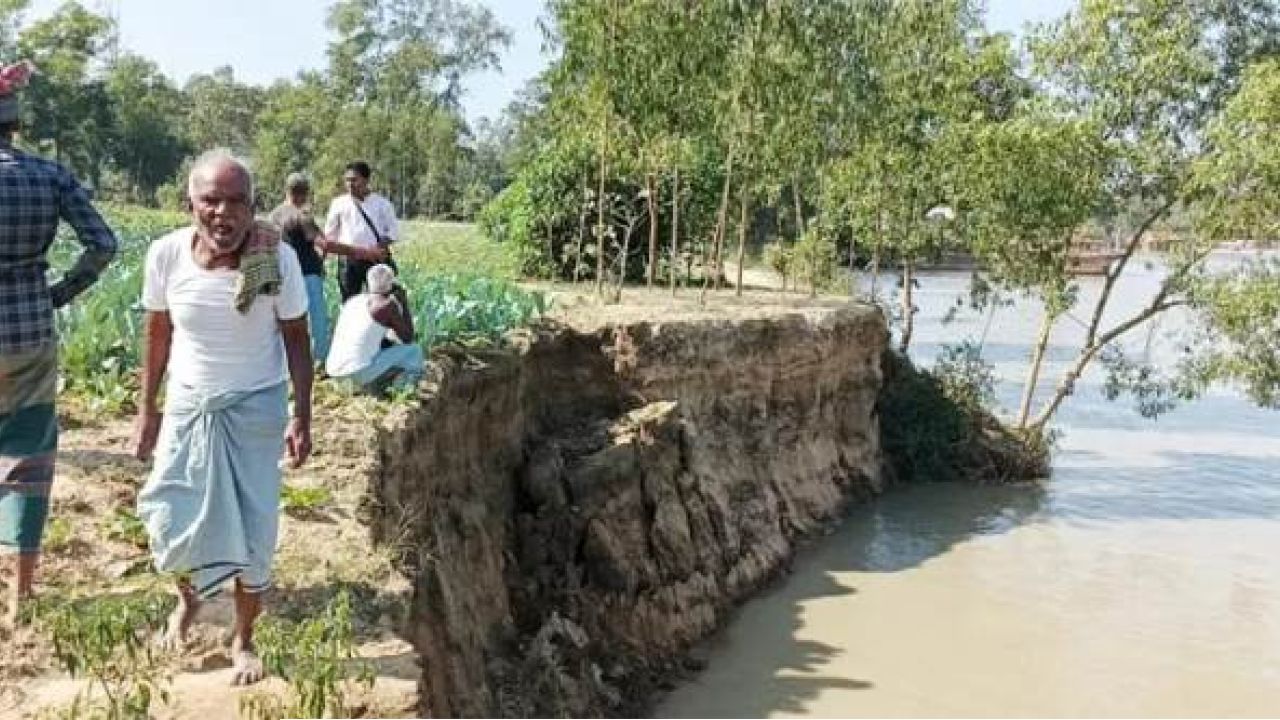 শিবালয়য়ে যমুনায় অবৈধ ড্রেজিংয়ের ফলে নদীভাঙনে বিলুপ্তির পথে: আলোকদিয়ার চর