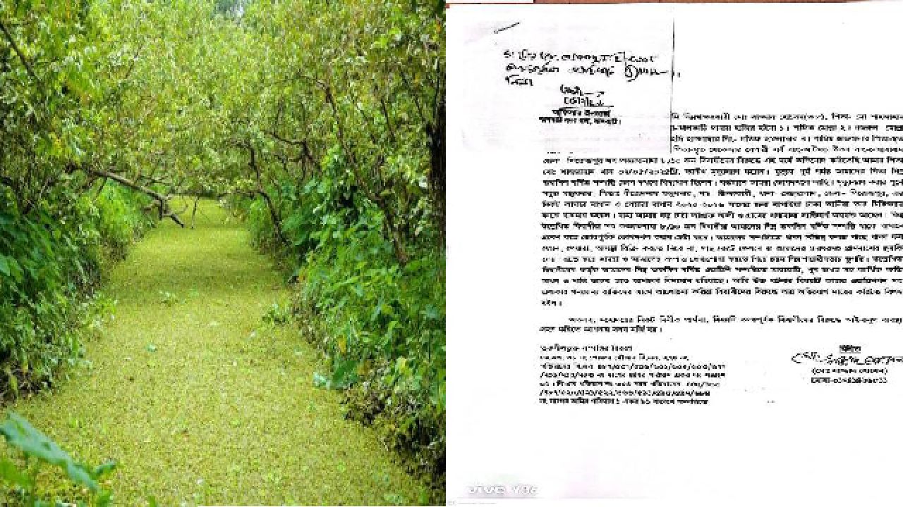 ওয়ারিশি সম্পত্তি দখলের চেষ্টা ও প্রাণনাশের হুমকির অভিযোগ, ঝালকাঠি সদর থানায় লিখিত আবেদন