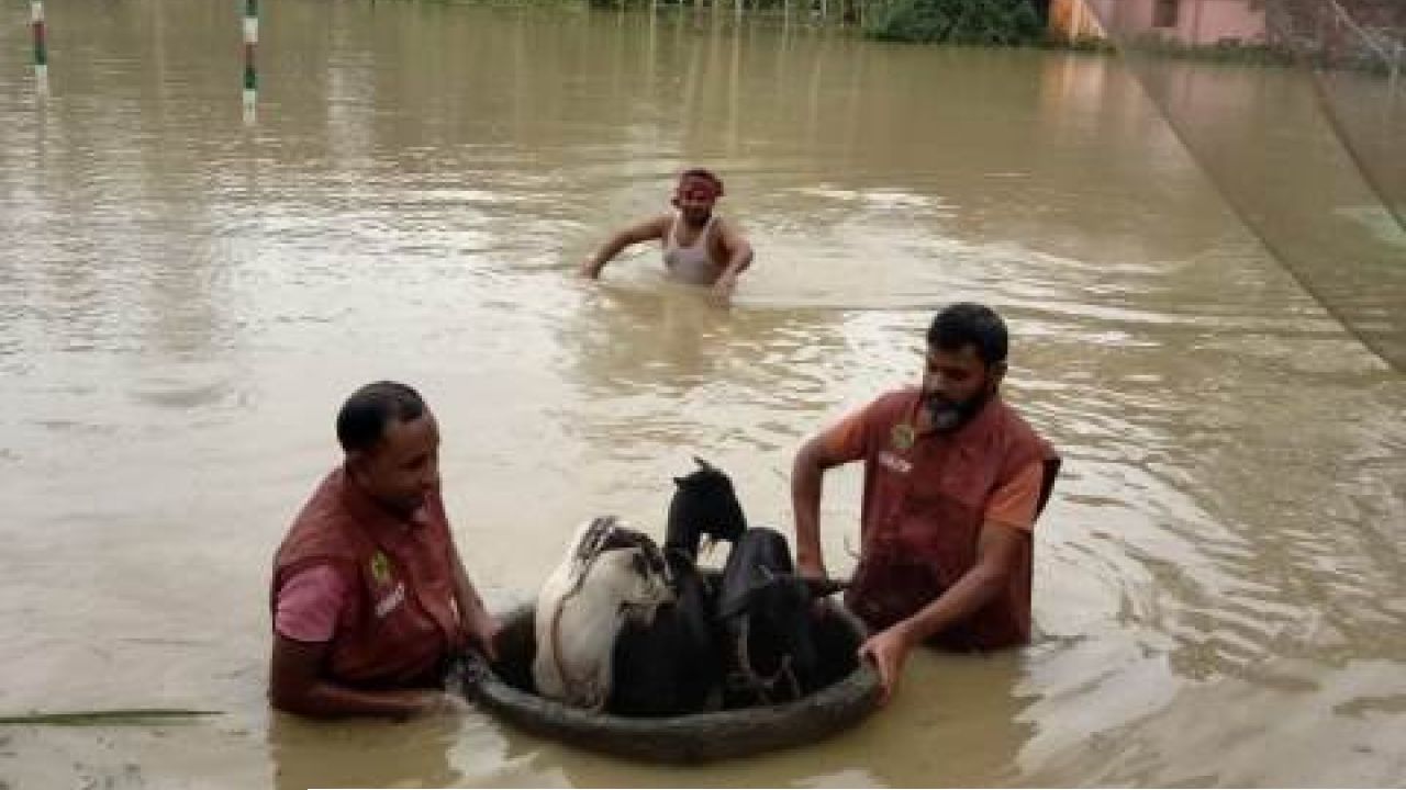 দেশের ৭ জেলায় বন্যা, প্রাণহানি বেড়ে ৪৪