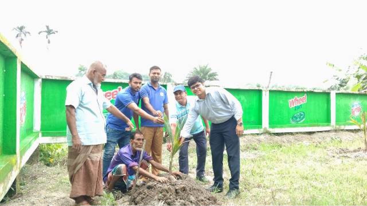 ঝালকাঠিতে ইউনিয়ন পরিষদ চত্বরে নারিকেল গাছের চারা রোপণ