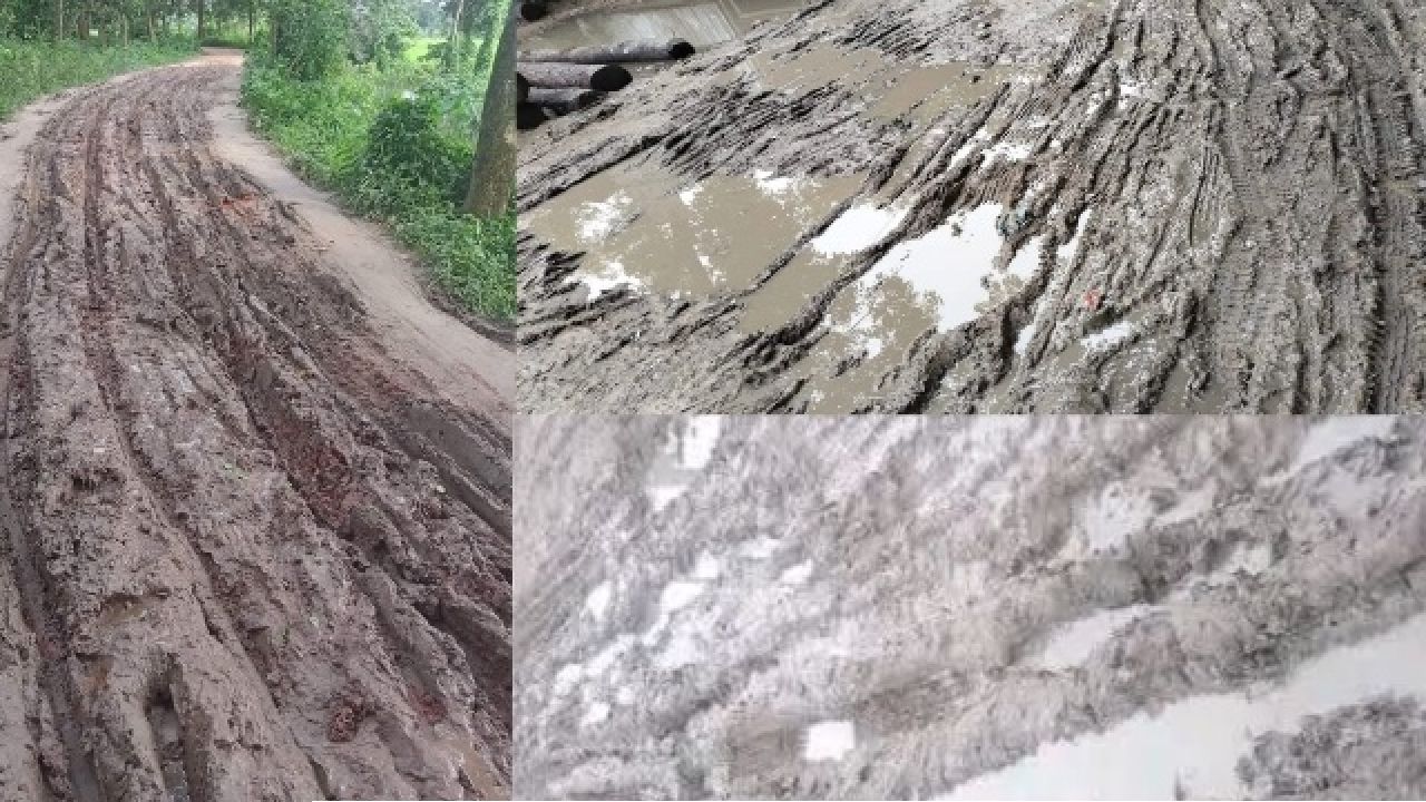 স্বাধীনতার পরও উন্নয়নের ছোঁয়া লাগেনি,৭০ বছর ধরে কাঁচা মোহনপুর-তালতলা সড়ক