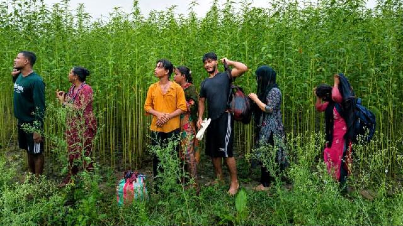 কুষ্টিয়া সীমান্তে ৮ জনকে পুশ-ইনের চেষ্টা  বিএসএফের, রুখে দিল বিজিবি 