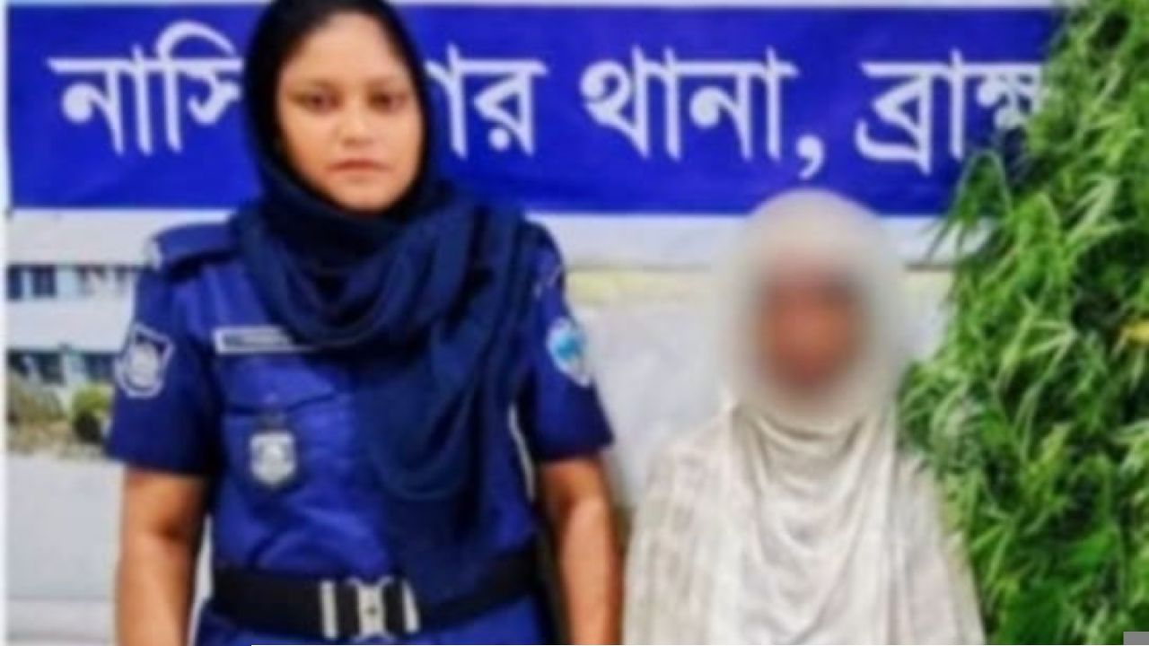 নাসিরনগরে ১২টি গাঁজার গাছসহ নারী গ্রেফতার